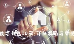 如何查看数字钱包ID码：详细指南与常