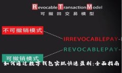 如何通过数字钱包实现快速盈利：全面