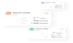 以下是符合您需求的相关信息：数字钱包当前的