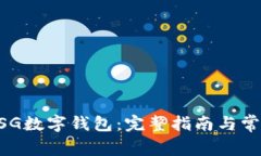 如何创建MSG数字钱包：完整指南与常见