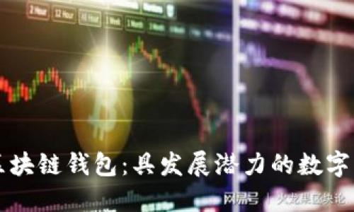 未来可期的区块链钱包:具发展潜力的数字资产管理工具