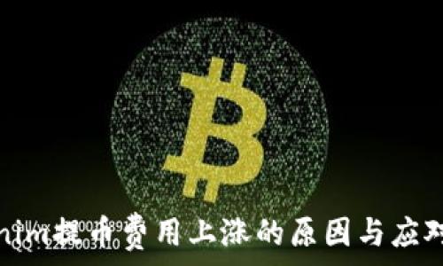 Tokenim提币费用上涨的原因与应对策略