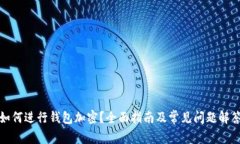如何进行钱包加密？全面指南及常见问