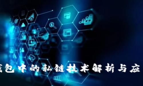 数字钱包中的私链技术解析与应用前景