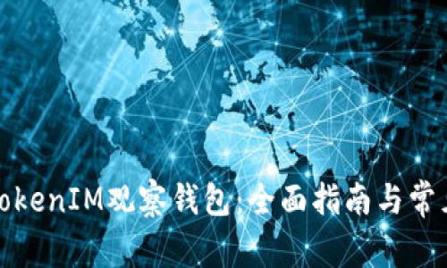 如何使用TokenIM观察钱包:全面指南与常见问题解答