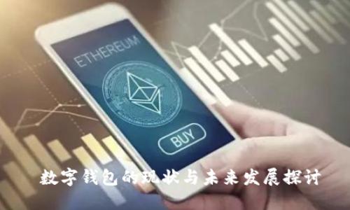 数字钱包的现状与未来发展探讨