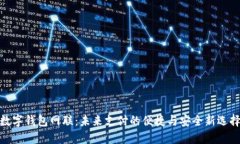 数字钱包网联：未来支付的便捷与安全