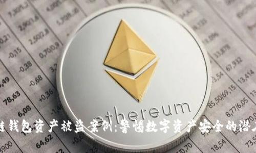 区块链钱包资产被盗案例:警惕数字资产安全的潜在风险