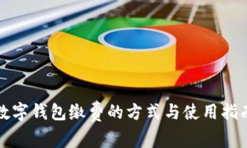 数字钱包缴费的方式与使用指南