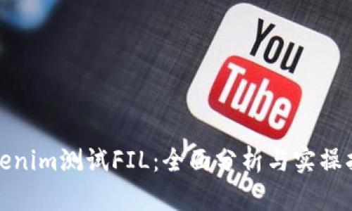 Tokenim测试FIL：全面分析与实操指南