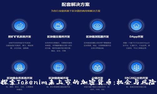 探索Tokenim未上市的加密货币:机会与风险