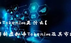 虚拟币Tokenim是什么？全面解析虚拟币