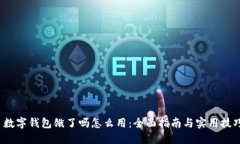  数字钱包饿了吗怎么用：全面指南与