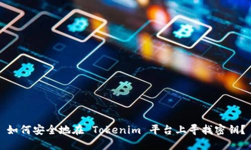 如何安全地在 Tokenim 平台上寻找密钥?
