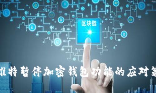 : 推特暂停加密钱包功能的应对策略