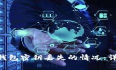 如何应对Tokenim钱包密钥丢失的情况：详解恢复与