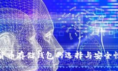 数字货币存储钱包的选择与安全性分析