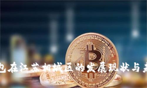 数字钱包在江苏相城区的发展现状与未来展望