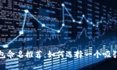 数字银行钱包命名推荐：如何选择一个