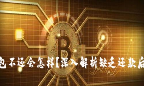 数字钱包不还会怎样？深入解析缺乏还款后的影响