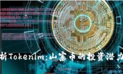 全面解析Tokenim：山寨币的投资潜力与