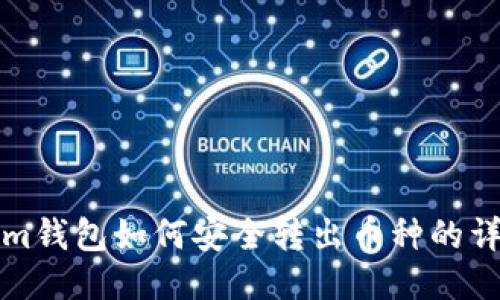 Tokenim钱包如何安全转出币种的详细指南