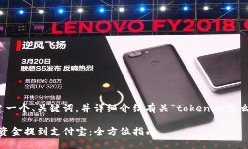 在这里，我将为您构建一个、关键词，并详细介绍有关“tokenim怎么提到支付宝”的内容。

如何使用Tokenim将资金提到支付宝：全方位指南