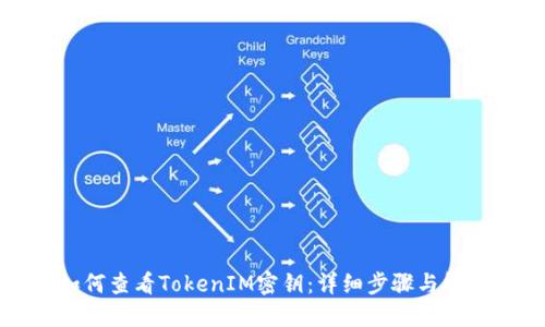 如何查看TokenIM密钥:详细步骤与解答