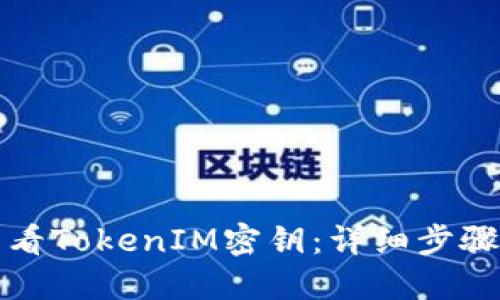 如何查看TokenIM密钥:详细步骤与解答