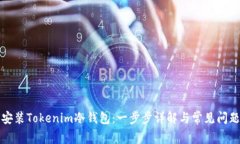 如何安装Tokenim冷钱包：一步步详解与