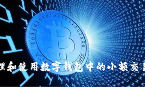 如何有效管理和使用数字钱包中的小额交易,如0.01元?