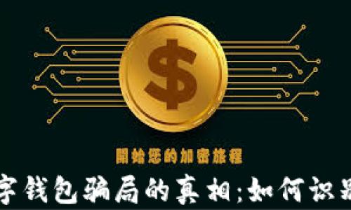揭开数字钱包骗局的真相:如何识别与防范