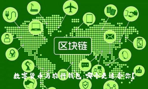 数字货币与农行钱包:哪个更适合你?