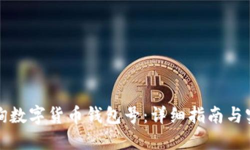 如何查询数字货币钱包号:详细指南与实用技巧