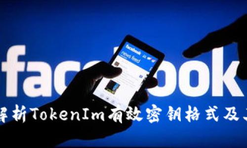 全面解析TokenIm有效密钥格式及其应用