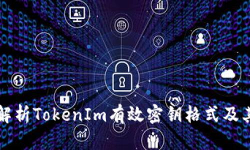 全面解析TokenIm有效密钥格式及其应用
