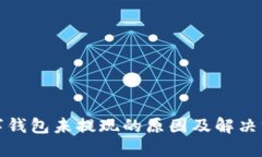 数字钱包未提现的原因及解决方案
