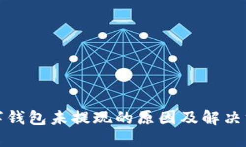 数字钱包未提现的原因及解决方案