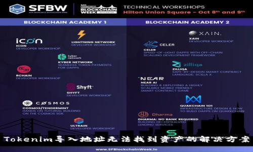 Tokenim导入地址无法找到资产的解决方案