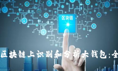 如何在区块链上识别和分析大钱包：全面指南