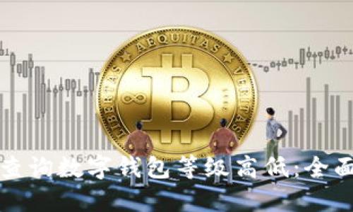 如何查询数字钱包等级高低:全面指南