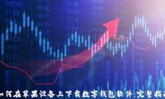 如何在苹果设备上下载数字钱包软件：