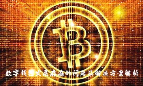 数字钱包发展存在的问题及解决方案解析