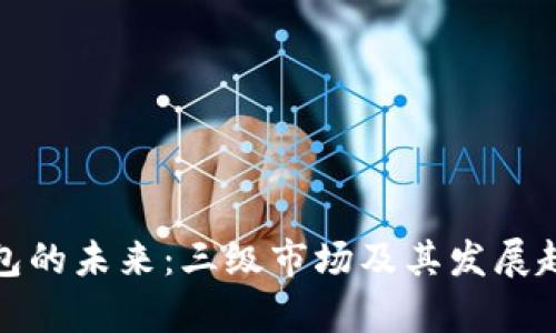 数字钱包的未来:三级市场及其发展趋势解析