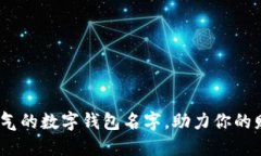 10个霸气的数字钱包名字，助力你的财