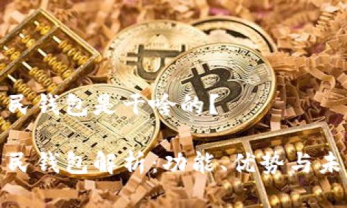 数字人民钱包是干啥的?
数字人民钱包解析:功能、优势与未来发展