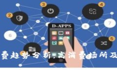 数字钱包消费趋势分析：高消费场所及