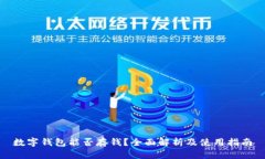 数字钱包能否存钱？全面解析及使用指