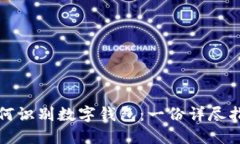 如何识别数字钱包：一份详尽指南