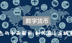 武汉数字钱包的全面解析：如何在这座